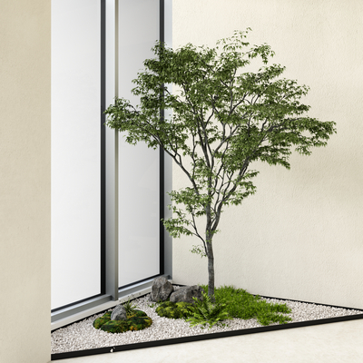  现代树 绿植su模型 