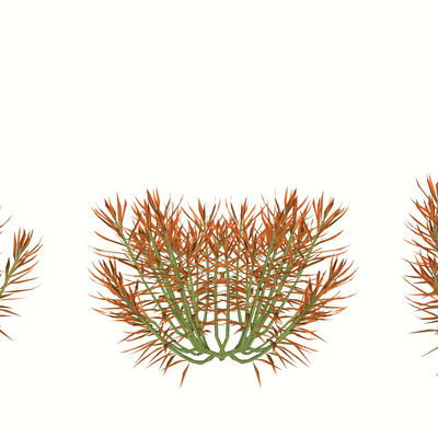  多肉 珊瑚 灌木地被 花草绿植su模型 