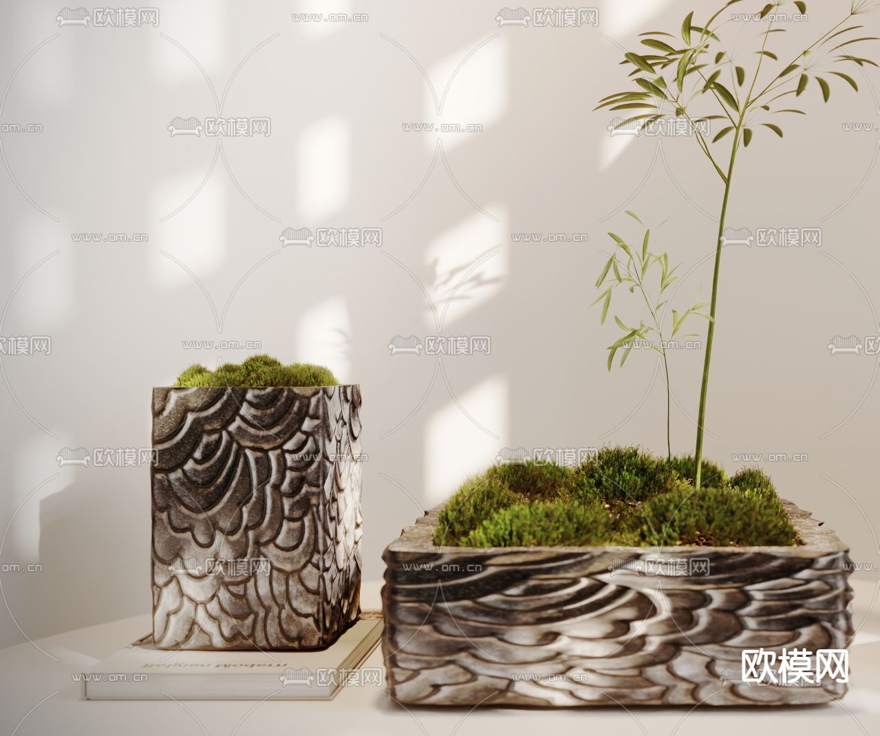 新中式苔藓小品 盆栽 植物3d模型下载（渲染图2）
