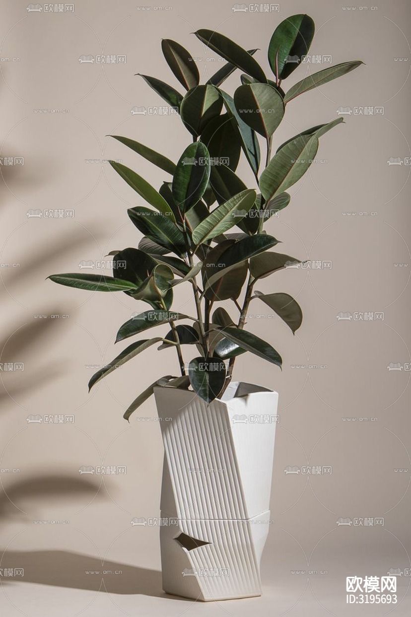 植物盆栽装饰画贴图下载