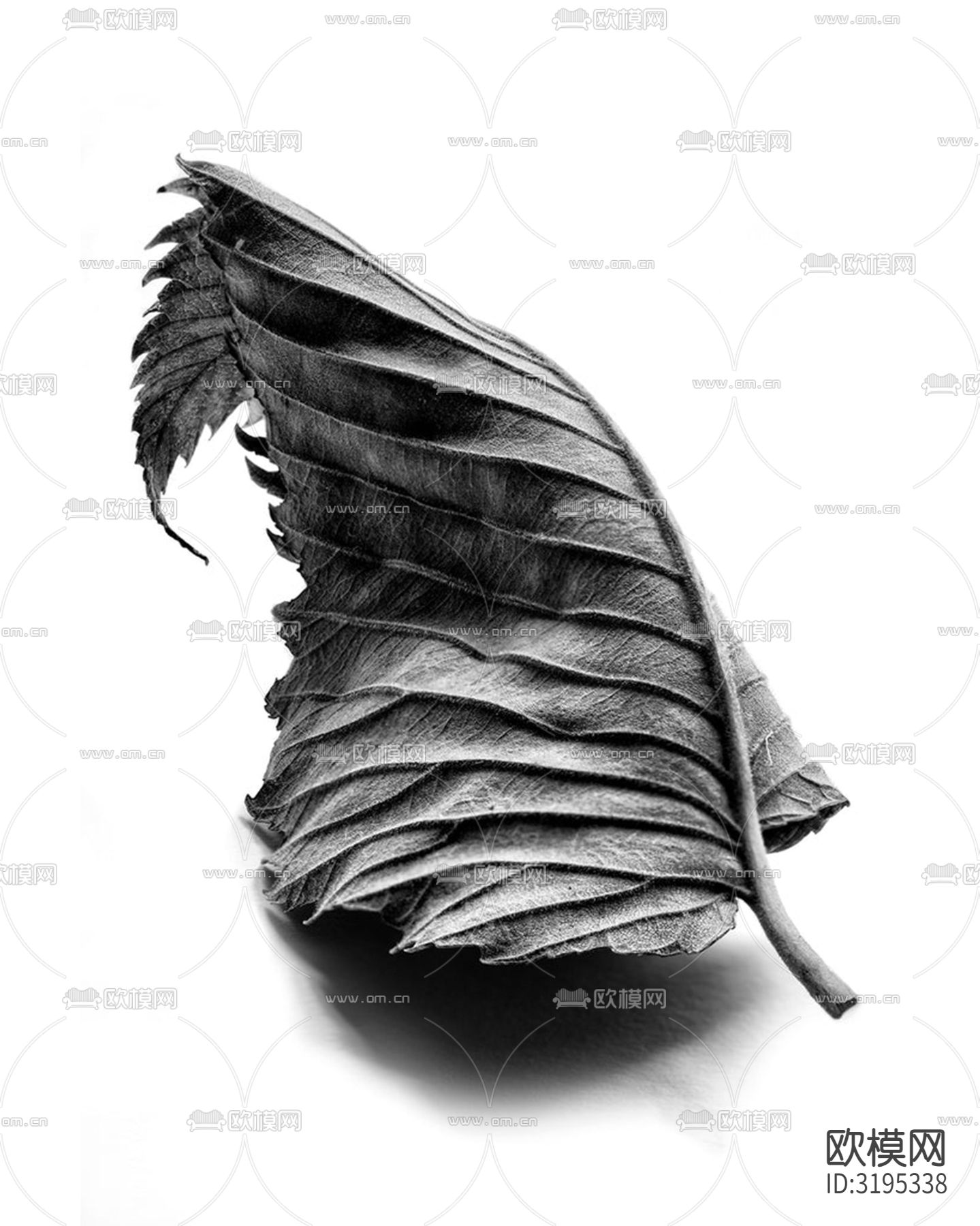 超写实素描装饰画贴图下载