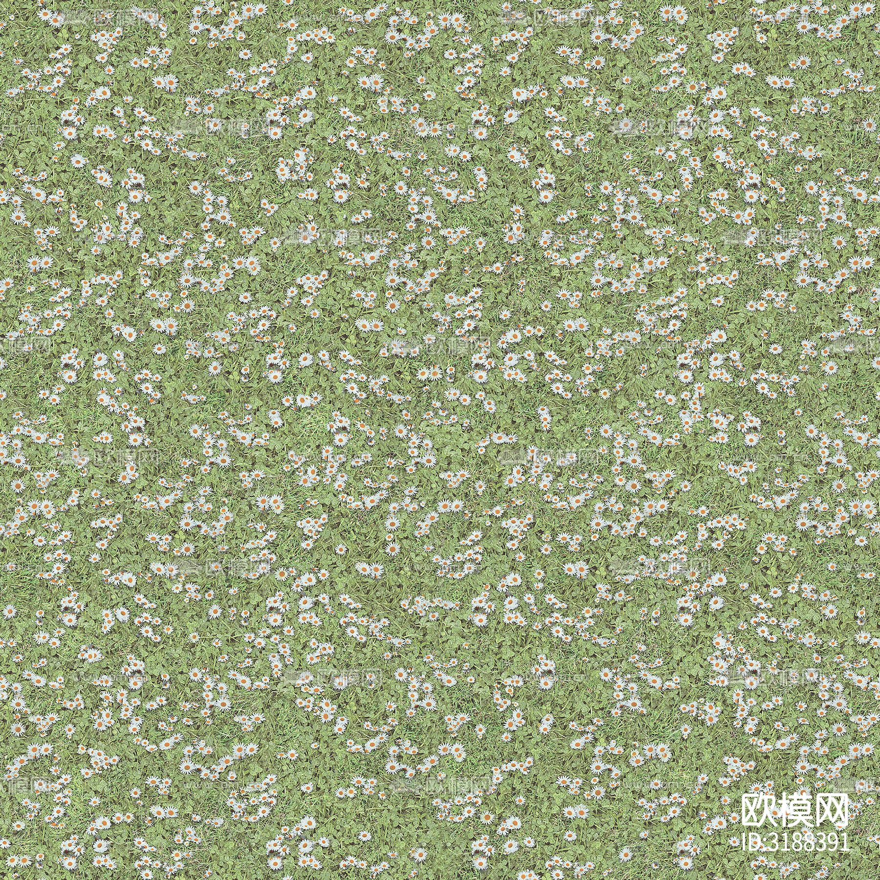 绿色雏菊花园草皮下载