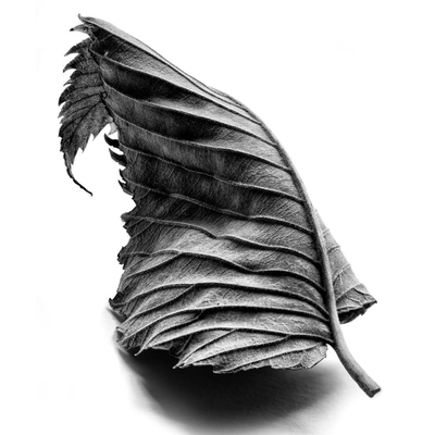  超写实素描装饰画贴图 