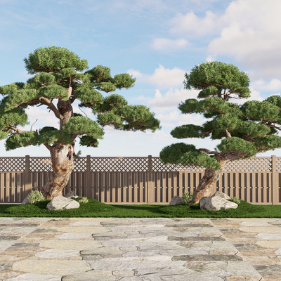  新中式罗汉松su模型 