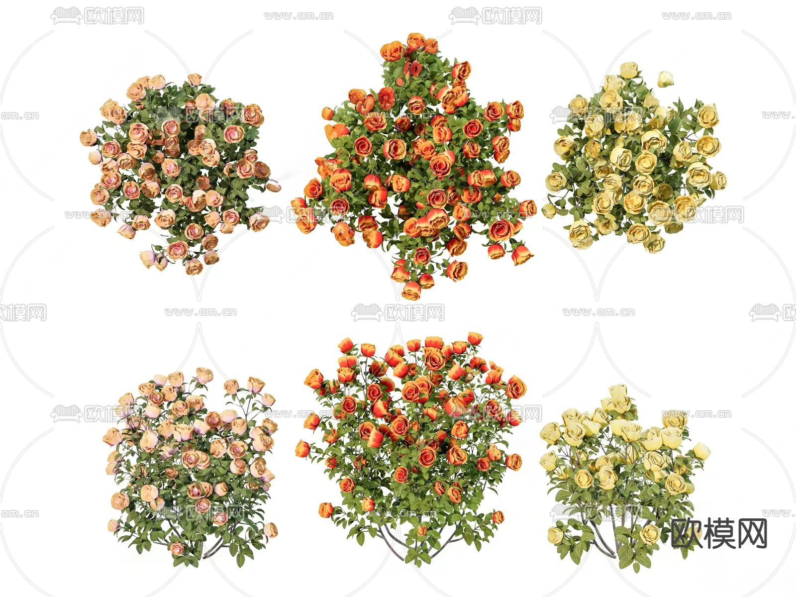 植物花草花卉 鲜花绿植3d模型下载