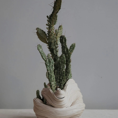  植物盆栽装饰画贴图 