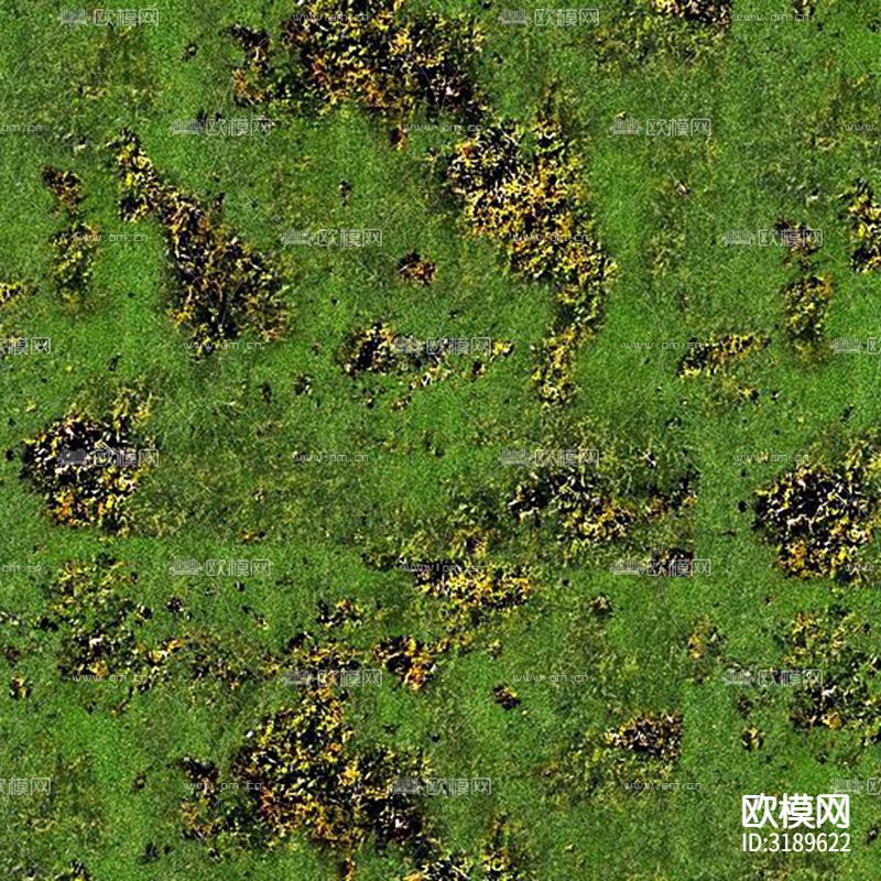 草地 草坪 苔藓 草皮贴图下载