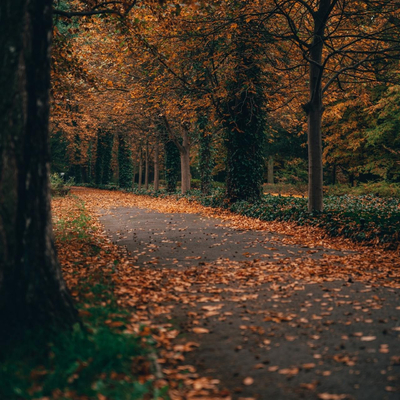 风景装饰画贴图 