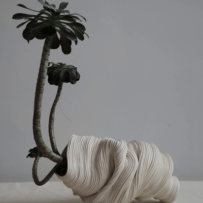  植物盆栽装饰画贴图 