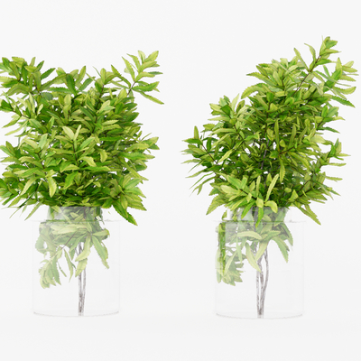  水生植物 花瓶su模型 