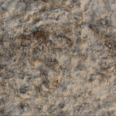  地面 自然地面 地面铺装贴图 