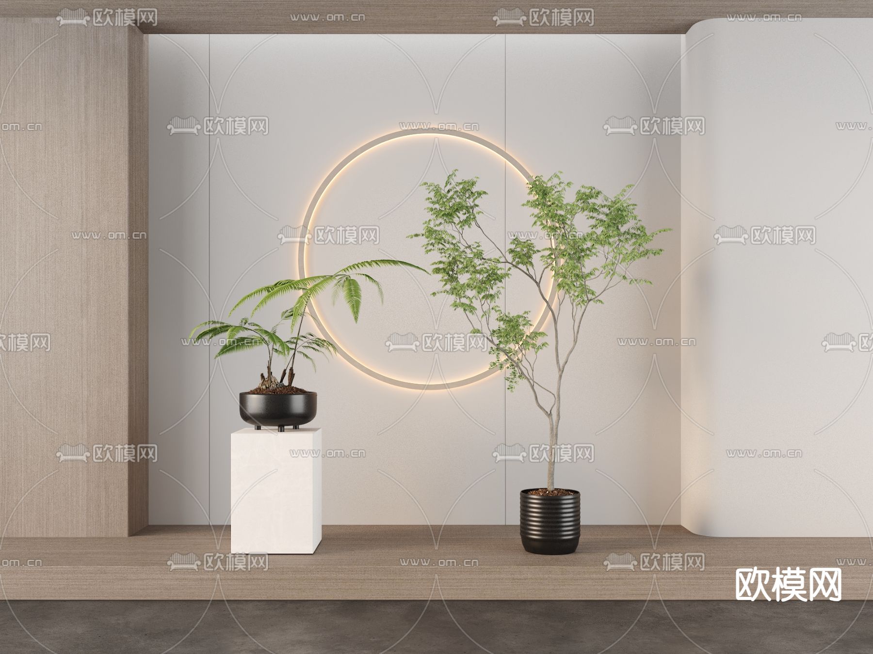 蕨类盆栽 室内盆栽3d模型下载