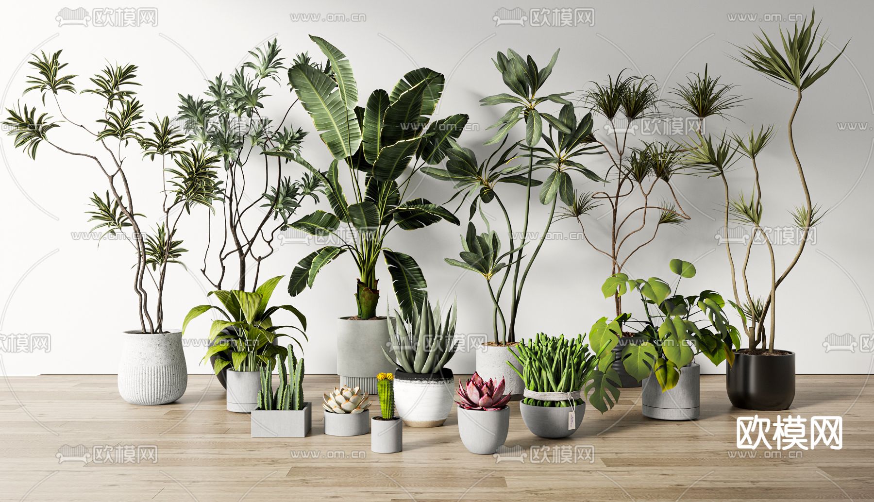 盆栽 盆景 绿植3d模型下载