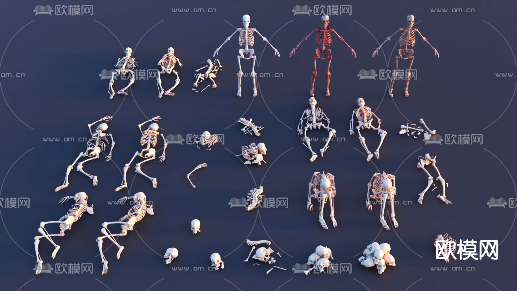 人体骨架 骨架残骸3d模型下载