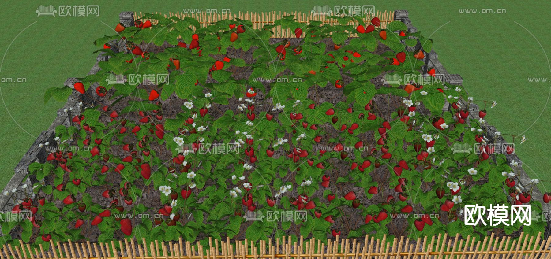 草莓 草莓园su模型下载（渲染图1）