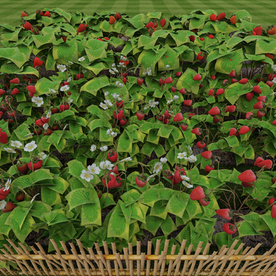  草莓 草莓园su模型 