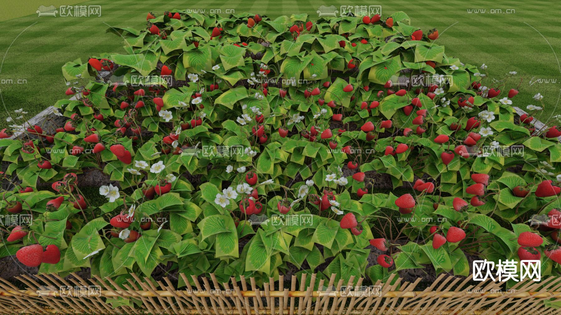草莓 草莓园su模型下载（渲染图2）