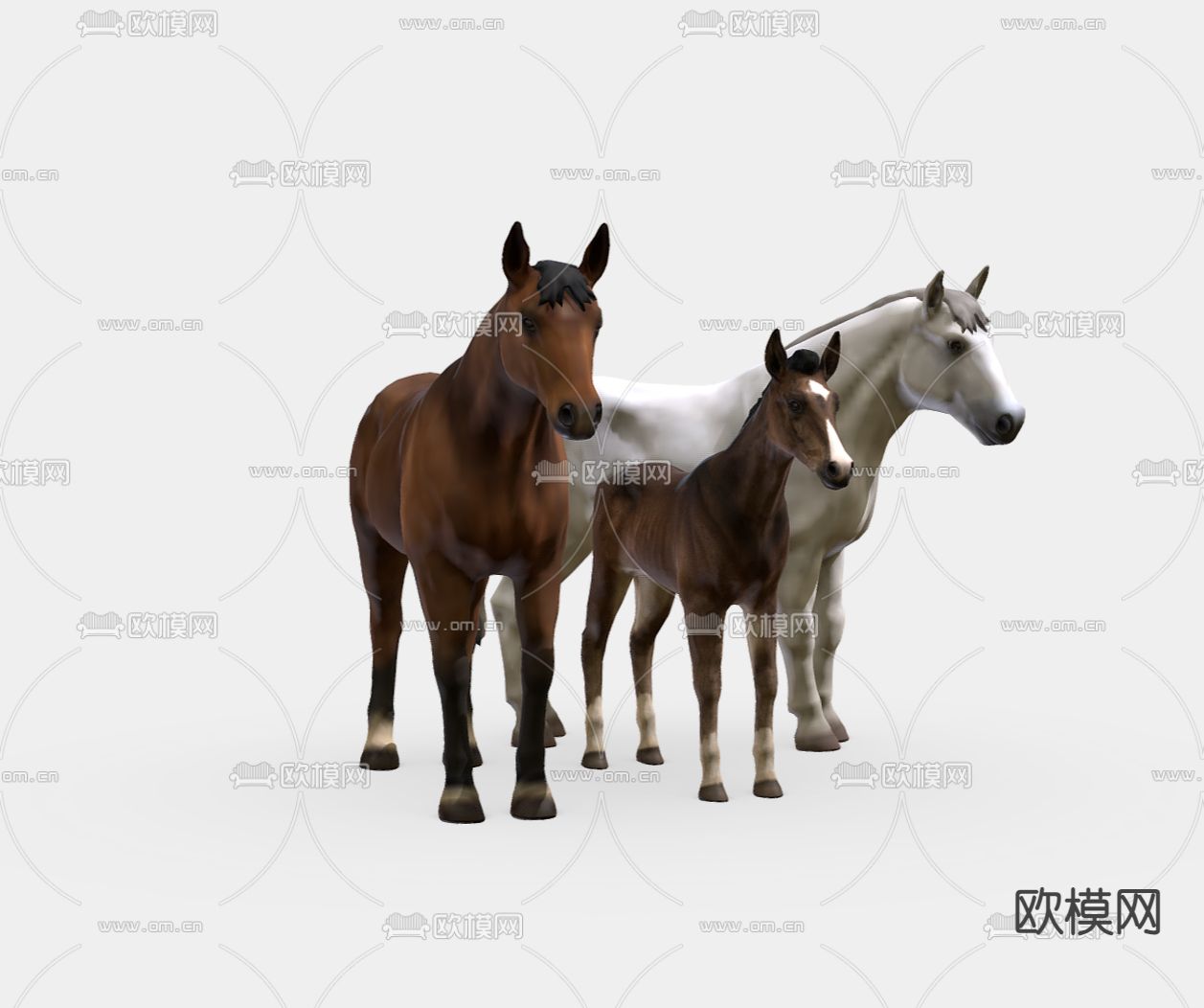 骏马 白马su模型下载（渲染图2）