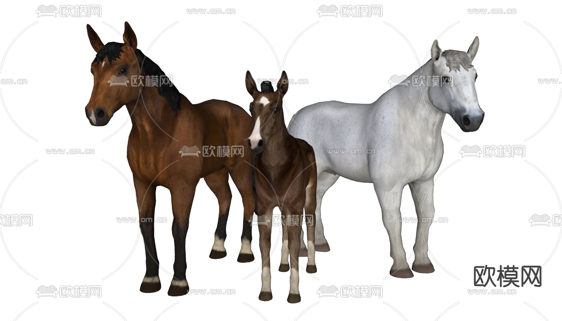 骏马 白马su模型下载（渲染图1）