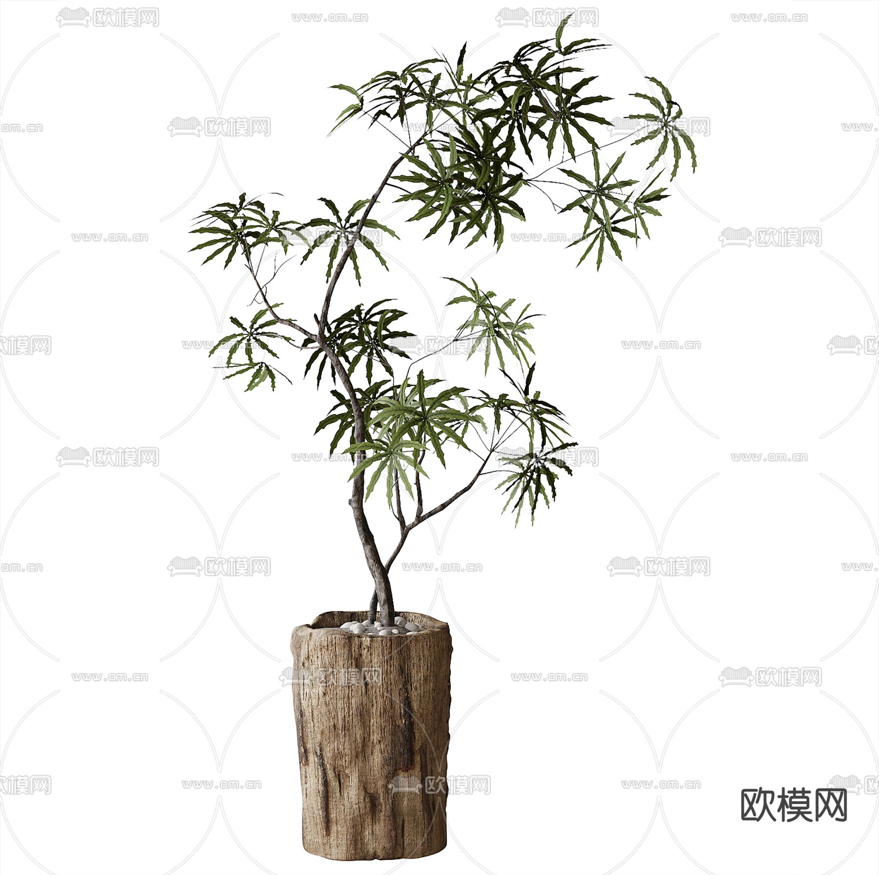 盆栽 盆景 绿植3d模型下载