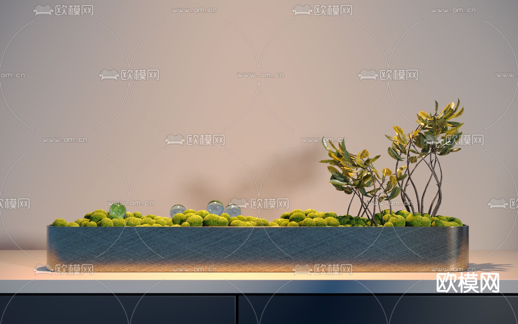 现代苔藓 植物盆景3d模型下载