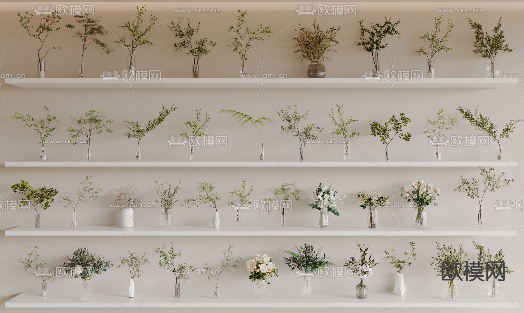 水生植物 水培绿植3d模型下载