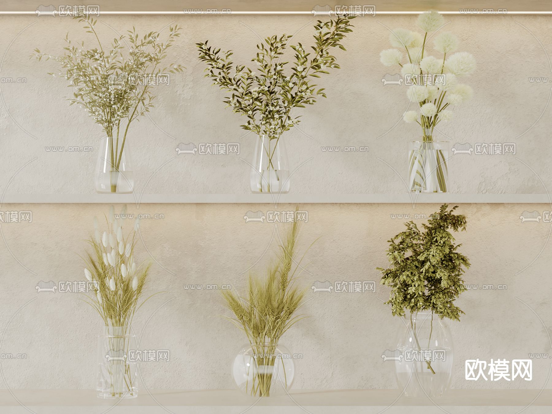 水生植物 水培绿植3d模型下载