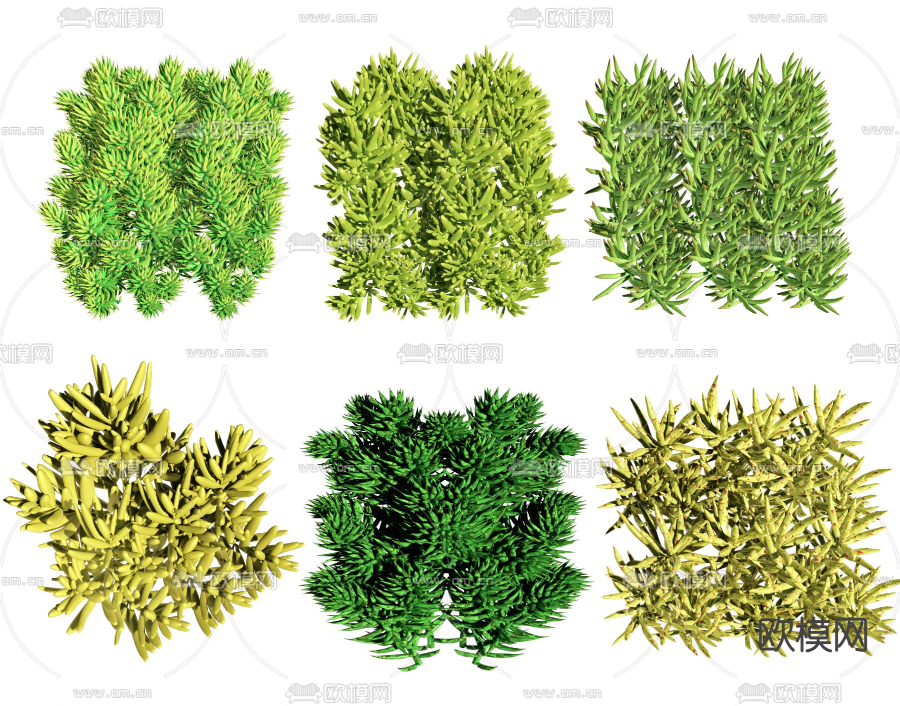 花园地 植物 花草3d模型下载
