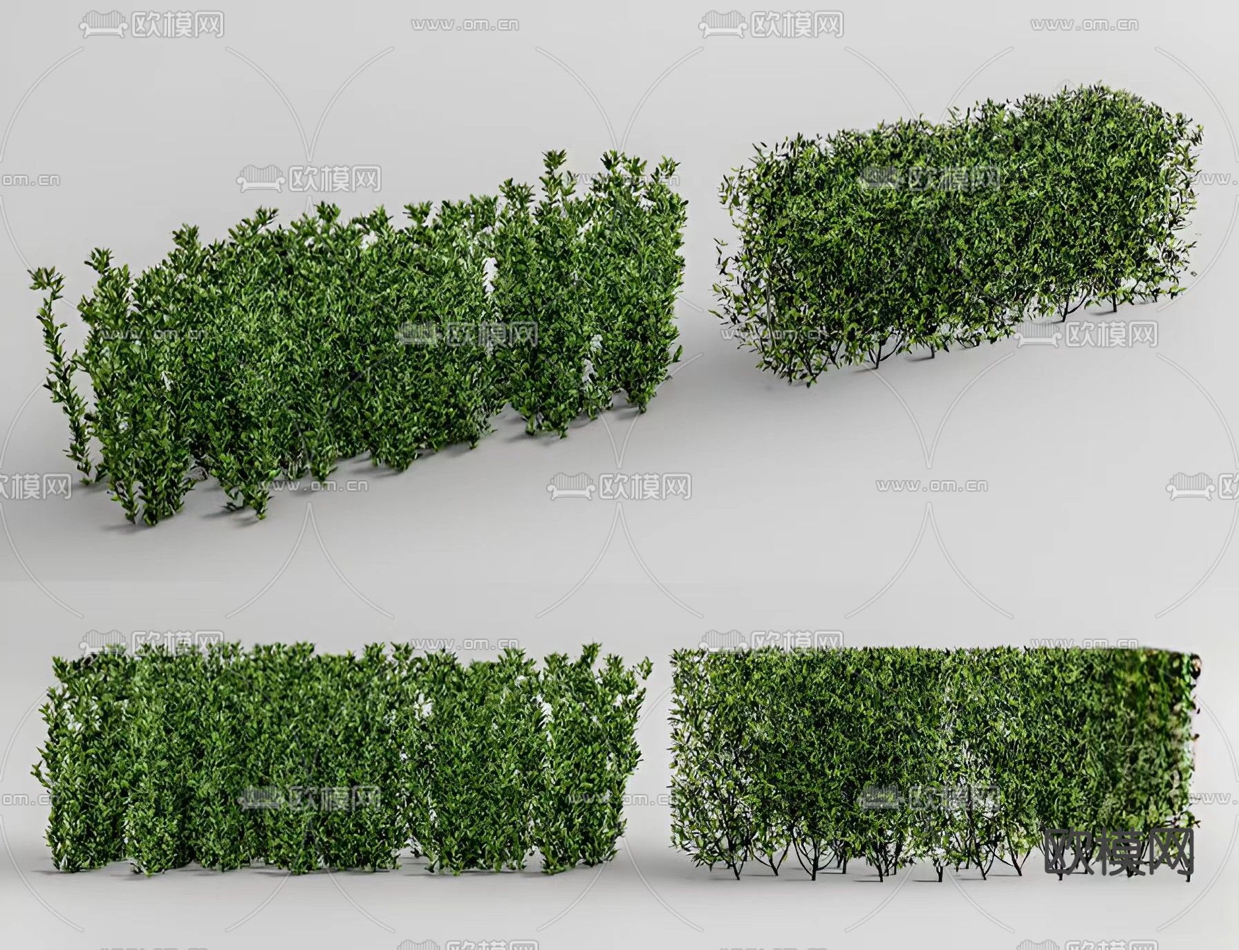 绿篱 灌木3d模型下载