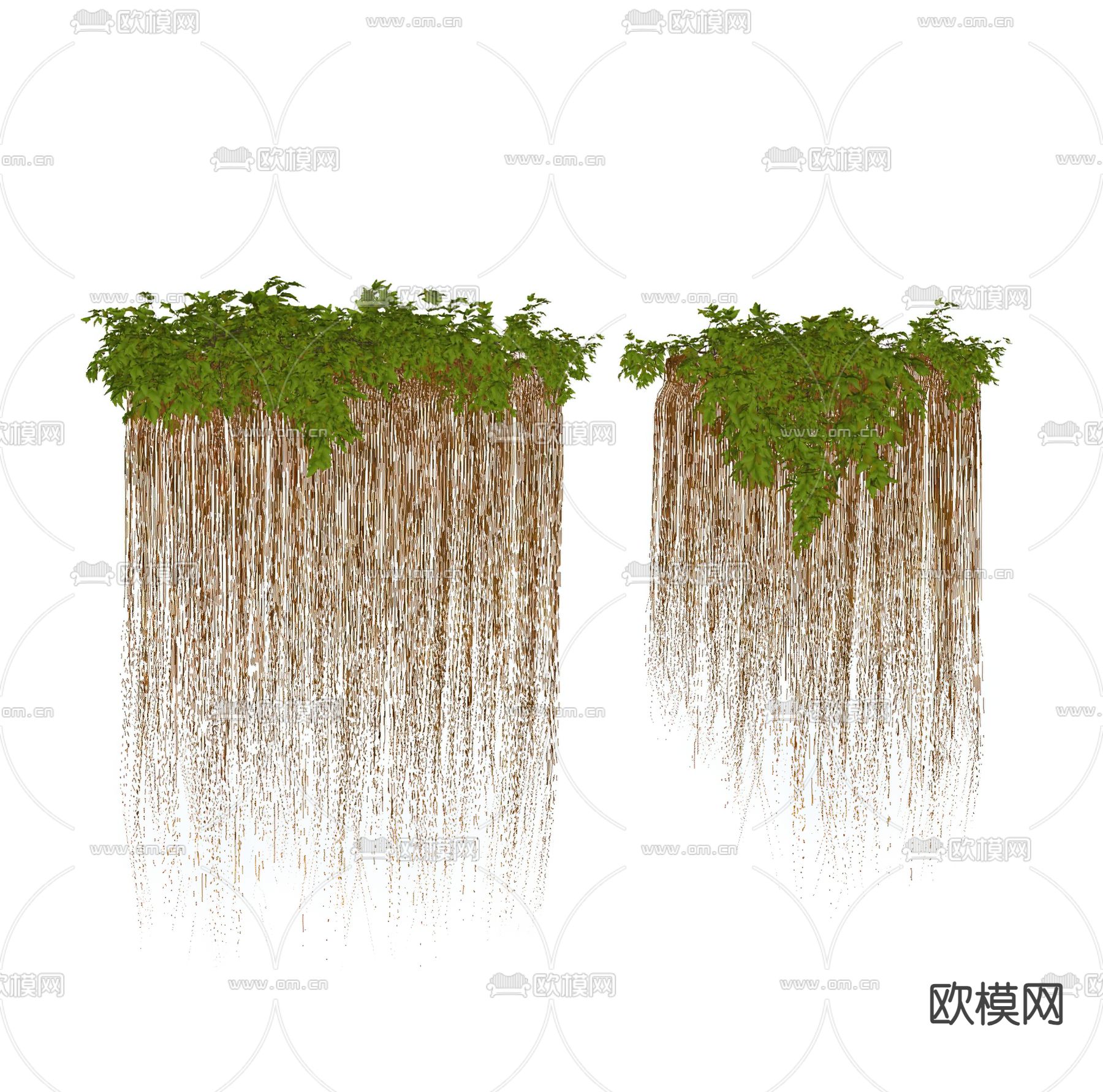 爬藤 藤蔓 墙锦 屏藤su模型下载（渲染图2）