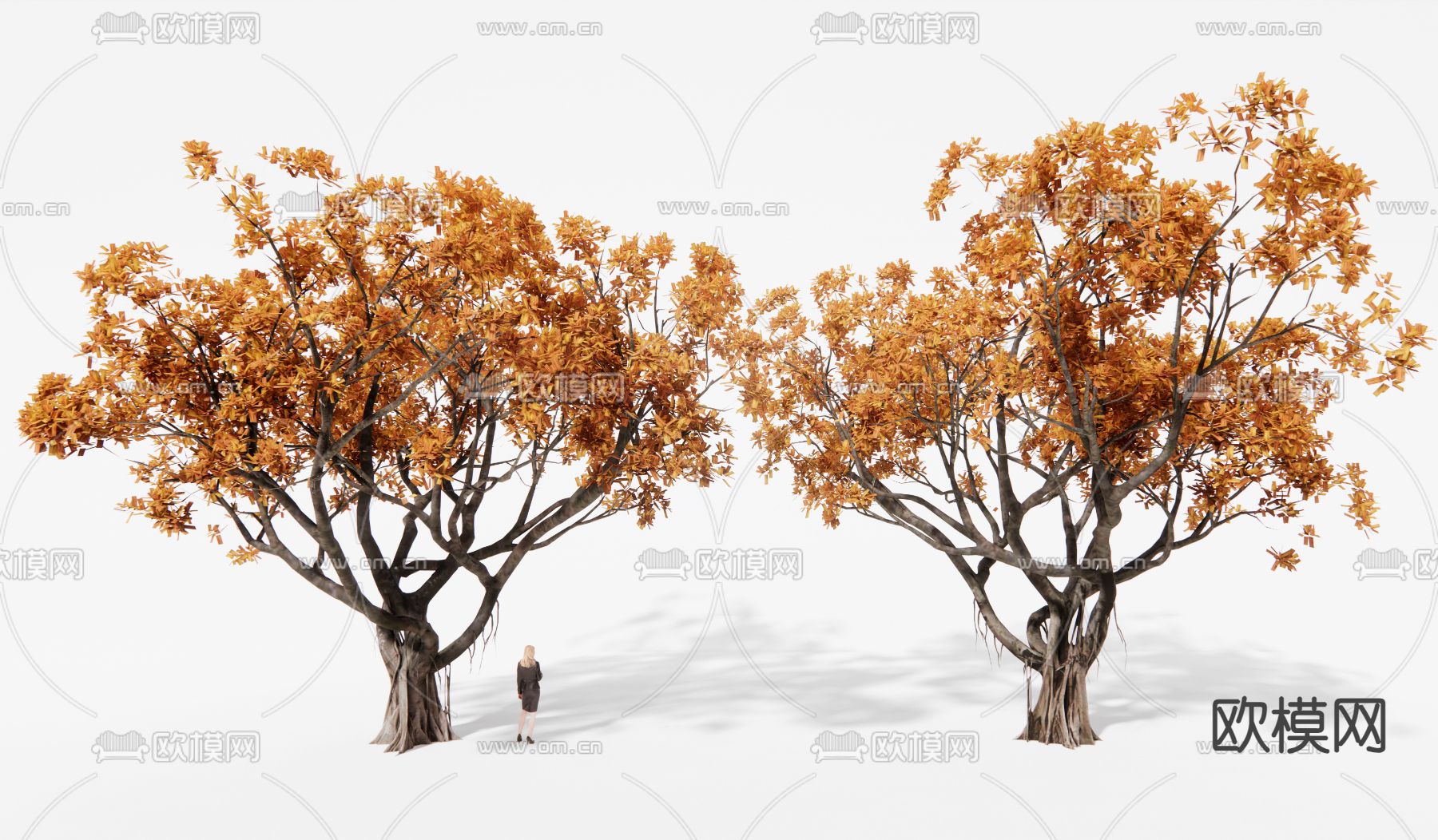 景观树 榕树 黄叶树 秋叶树su模型下载（渲染图1）