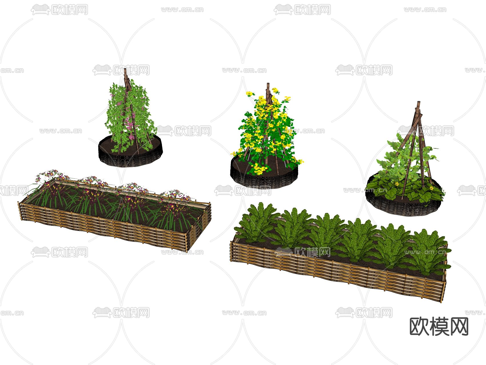 农作物 菜园 蔬菜 果蔬 种植箱su模型下载（渲染图2）