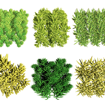  佛甲草 花境 花草su模型 