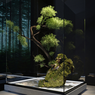  室内造景 天井植物 景观造景su模型 
