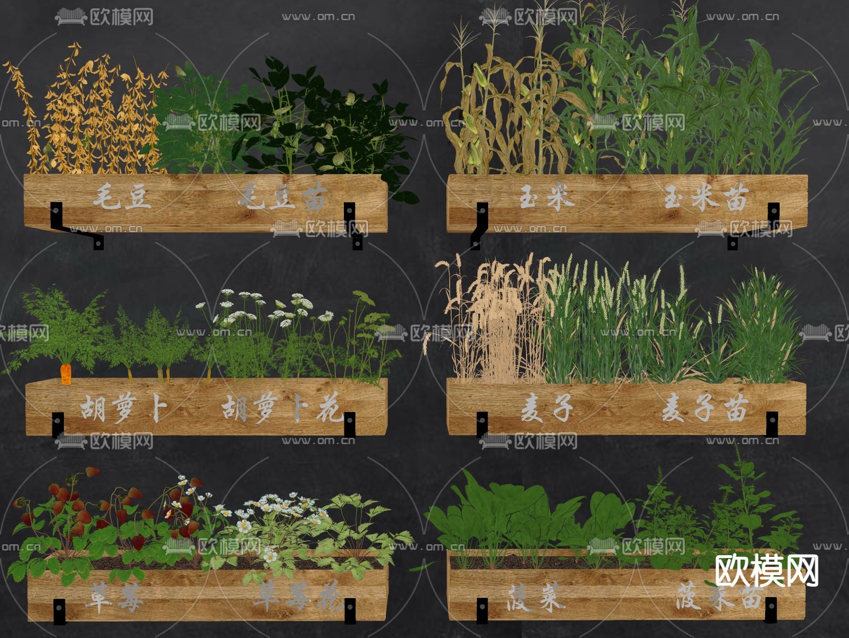 农作物 蔬菜箱 玉米 麦子 草莓 胡萝卜 毛豆 菠菜su模型下载（渲染图1）