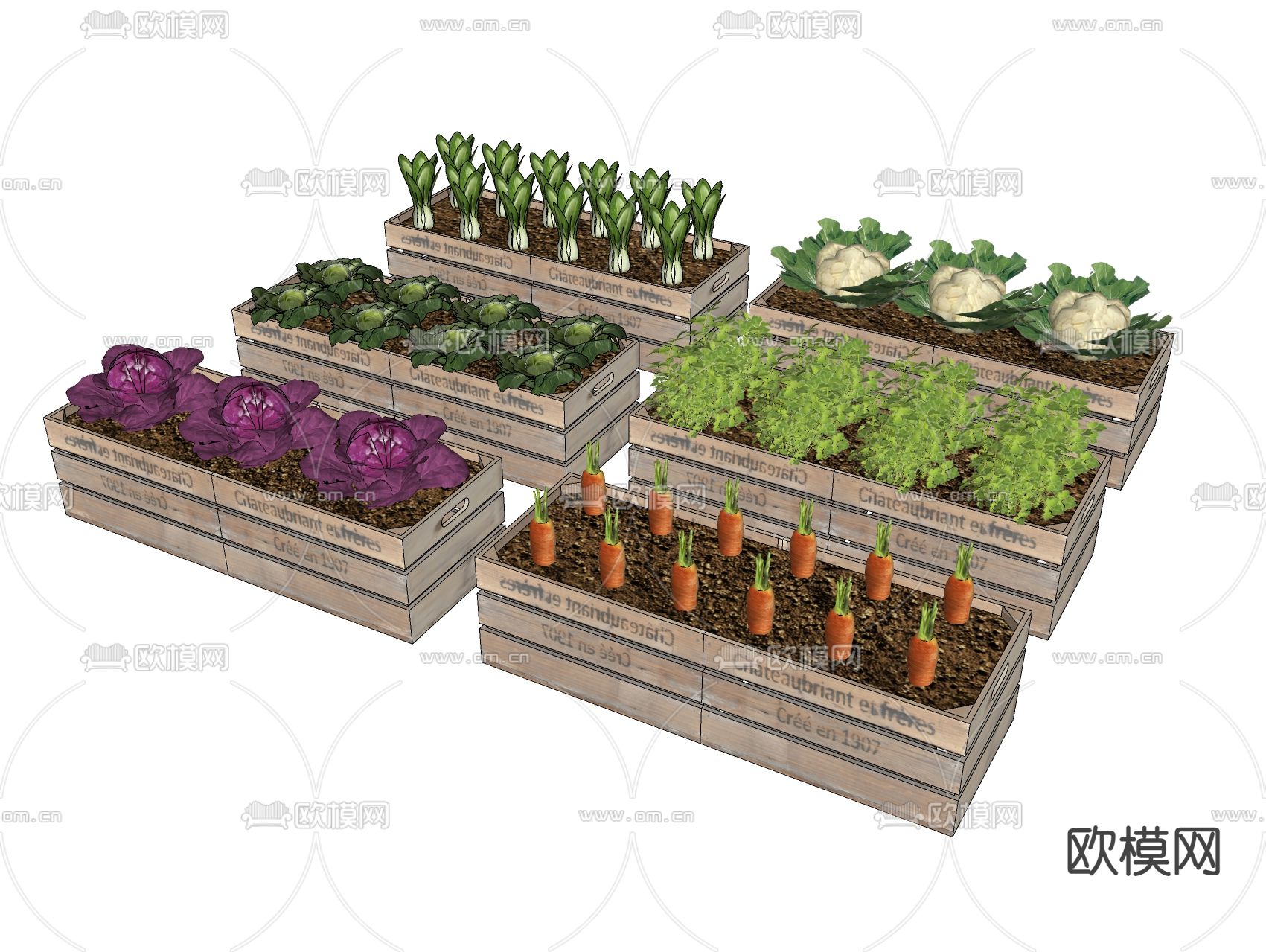 农作物 菜园 蔬菜 果蔬 种植箱su模型下载（渲染图2）