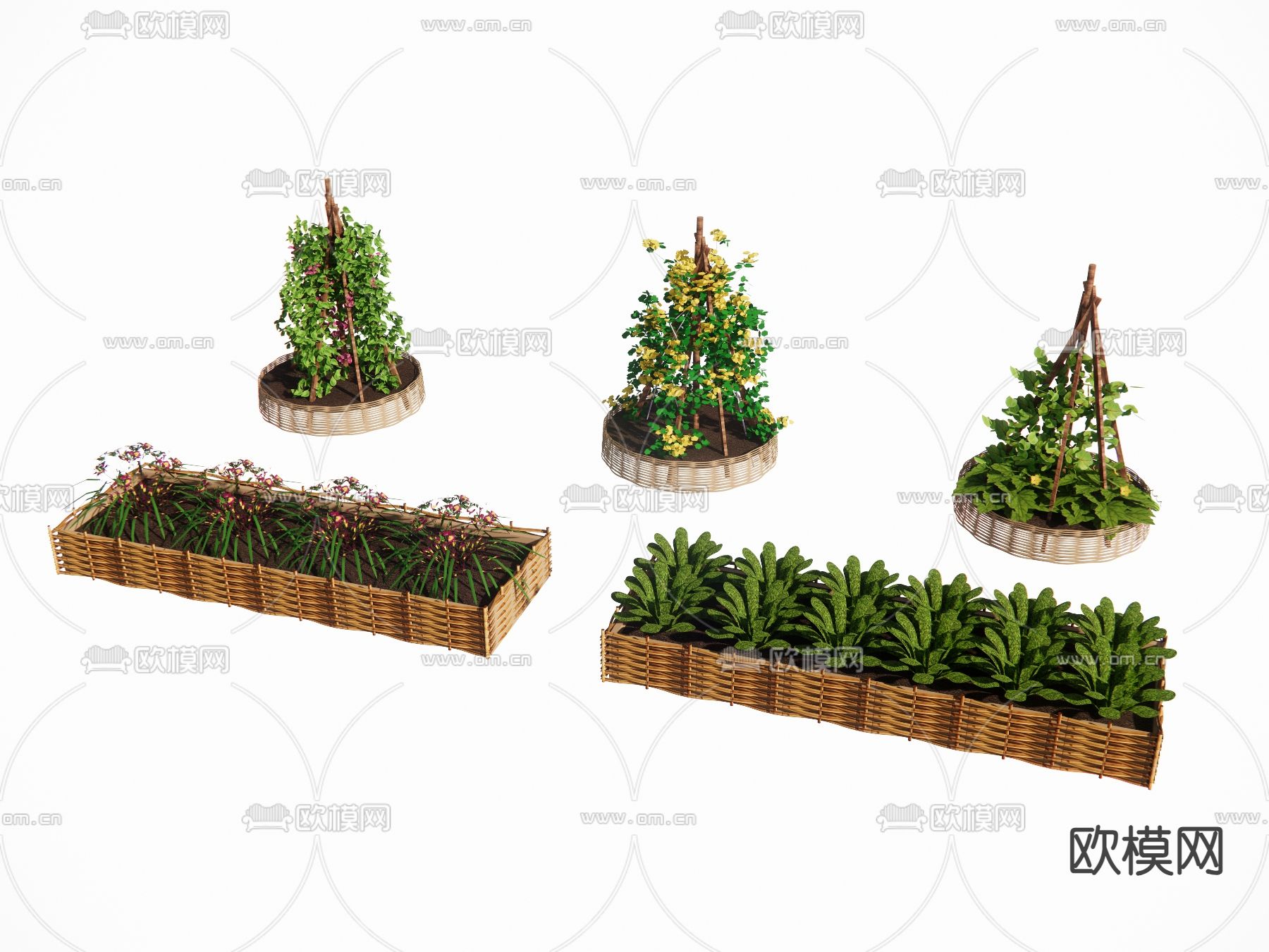 农作物 菜园 蔬菜 果蔬 种植箱su模型下载（渲染图1）