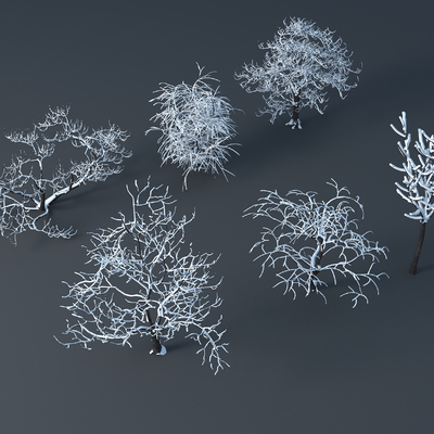  枯枝雪景 枯树 冬天的树su模型 