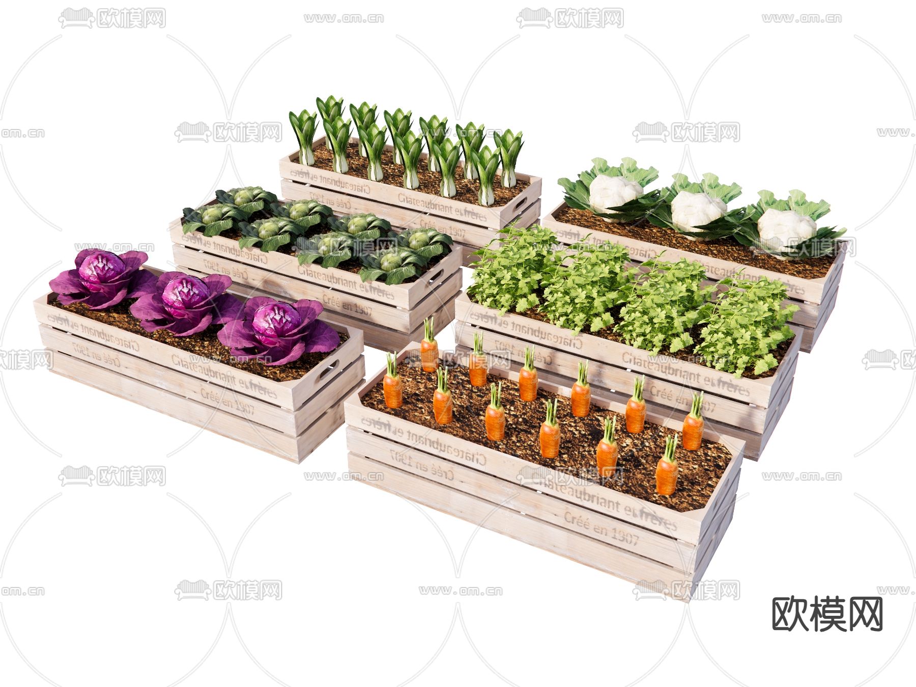 农作物 菜园 蔬菜 果蔬 种植箱su模型下载（渲染图1）