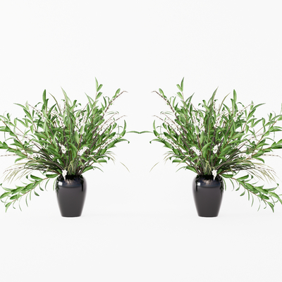  水生植物 水培绿植su模型 