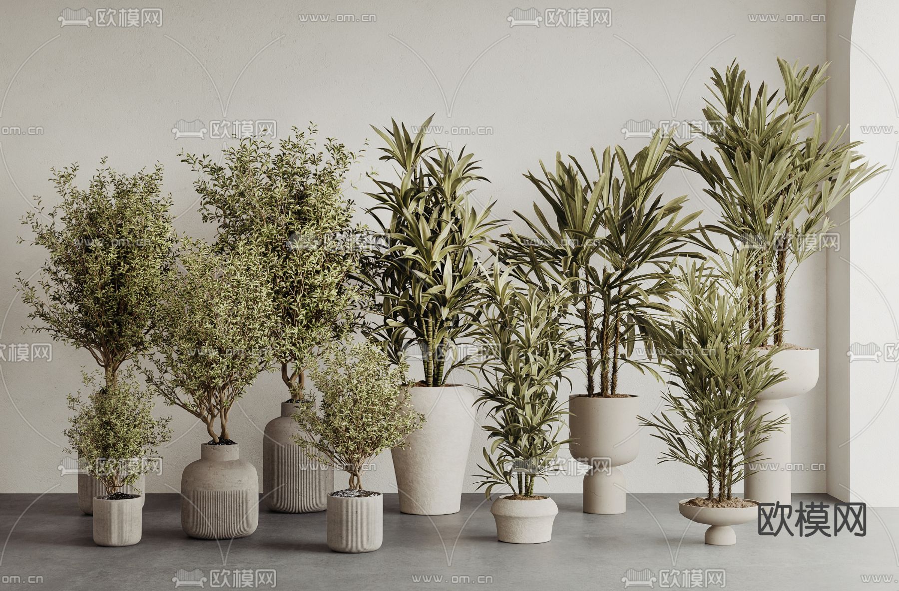 枯枝绿植 盆栽3d模型下载