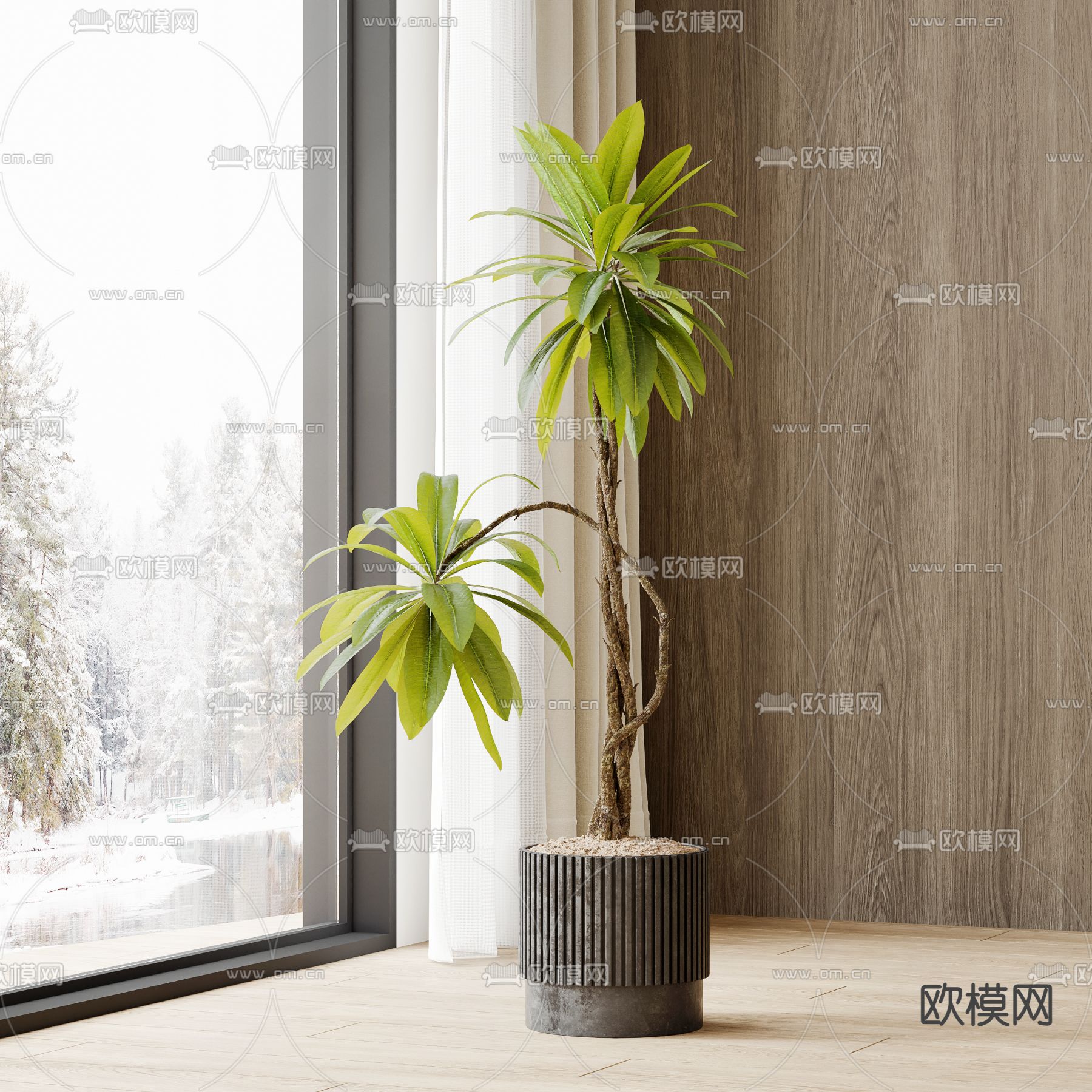 绿植 盆景 盆栽3d模型下载