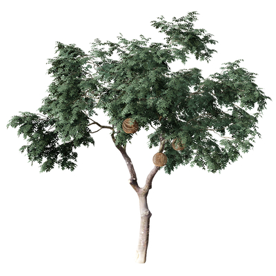  绿植 树木su模型 