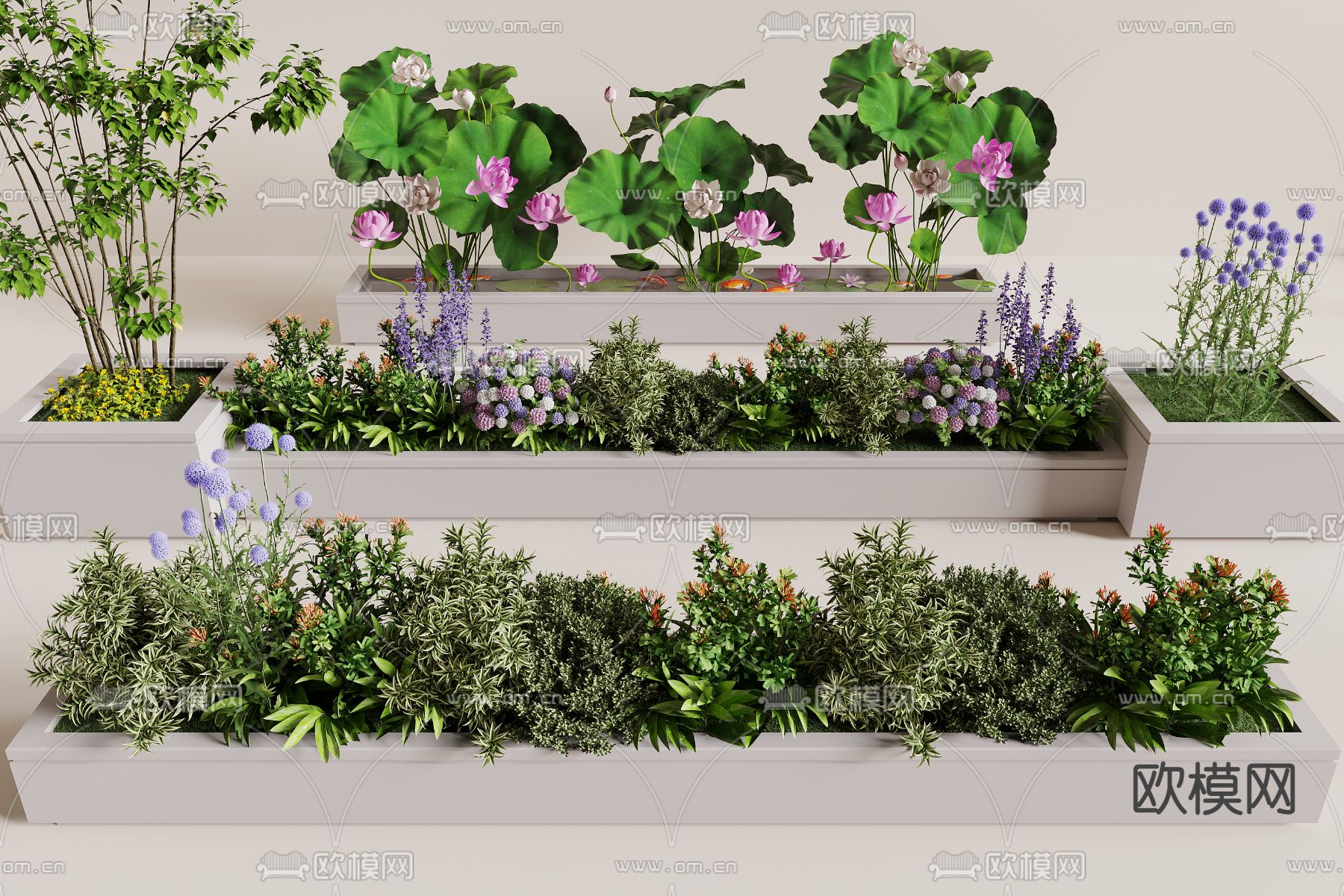花槽 花坛 荷花花池su模型下载（渲染图1）