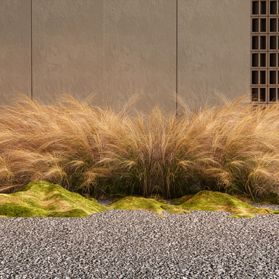  花草植物堆 芦苇su模型 