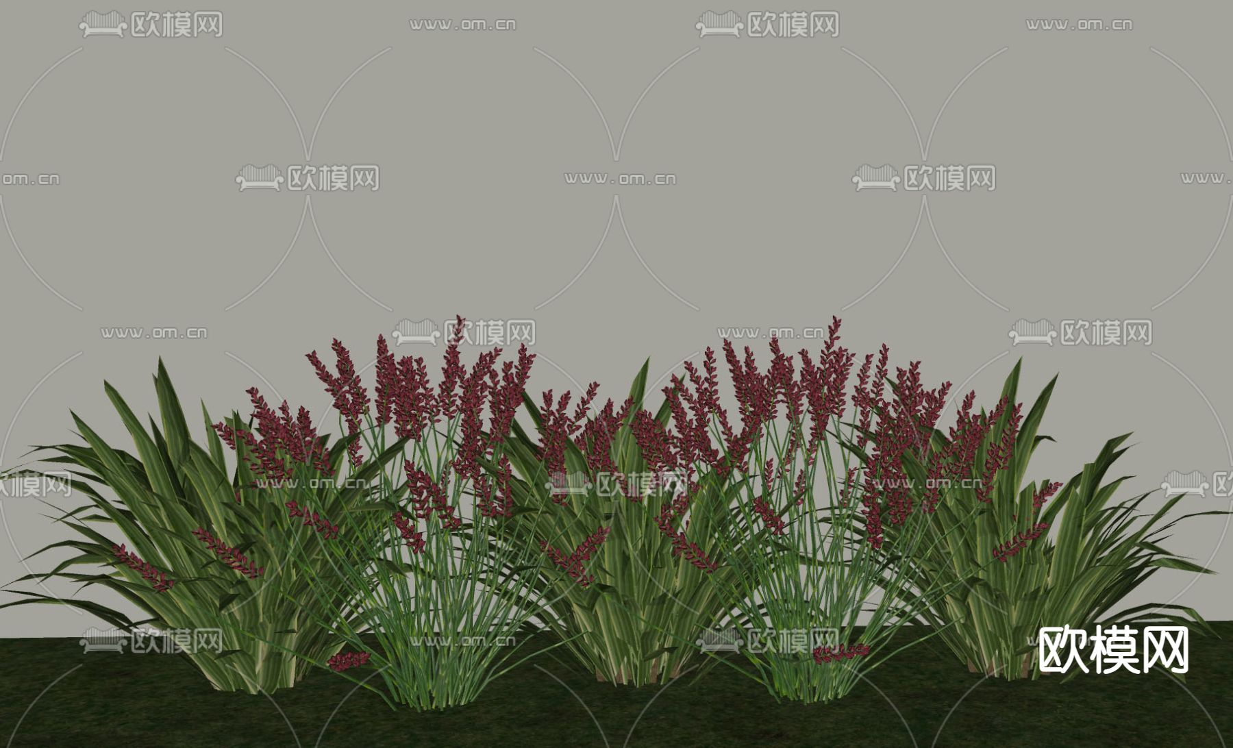 植物花草 绿植地被su模型下载（渲染图1）