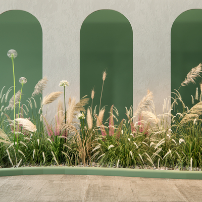  芦苇 植物堆su模型 