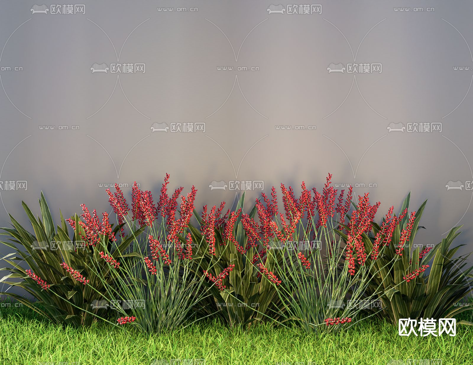 植物花草 绿植地被su模型下载（渲染图2）