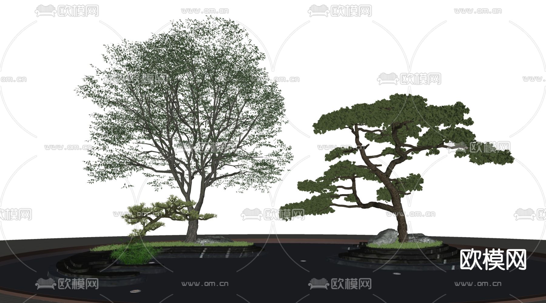 景观树 景观树池 罗汉松 乔木 迎客松su模型下载（渲染图2）