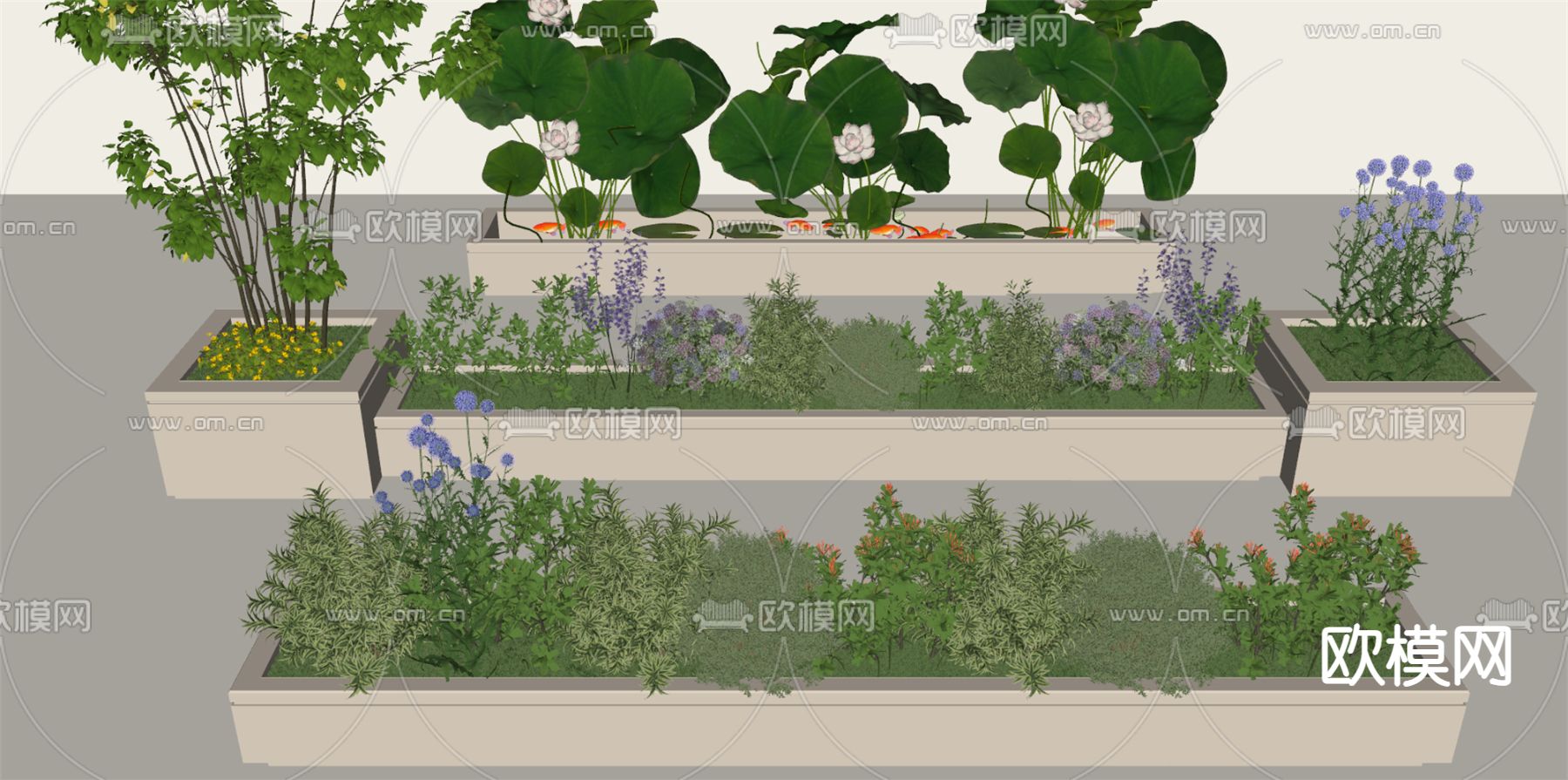 花槽 花坛 荷花花池su模型下载（渲染图2）